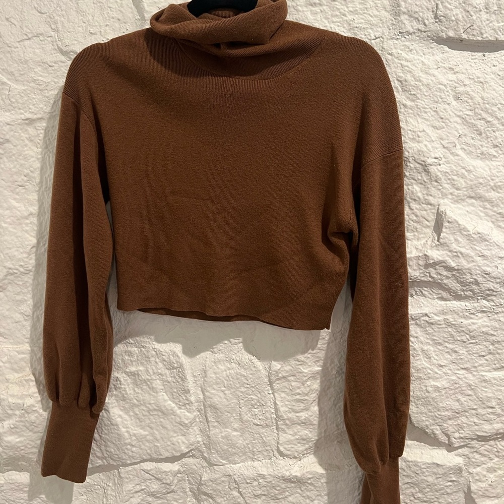 Wilfred Aritzia Chestnut Knit Turtleneck